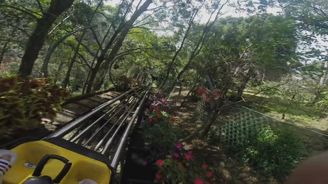 Roller Coaster Jungle