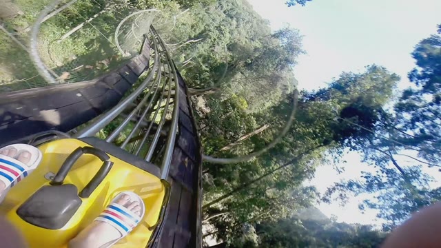 Guy Quickly Rides A Roller Coaster