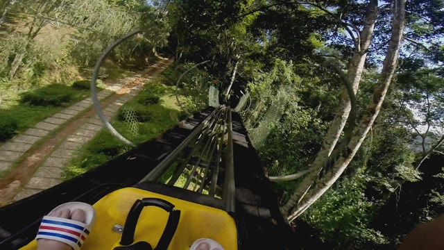 Guy Riding Attraction